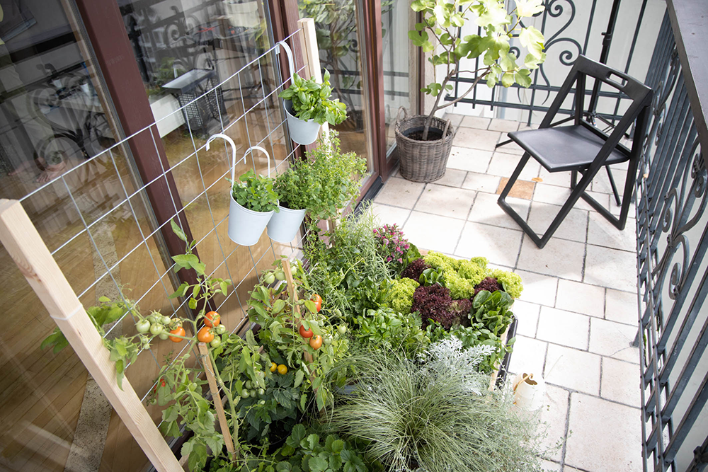 vanilla 様　ハーブガーデン3本セット mbm-1410_4.jpg